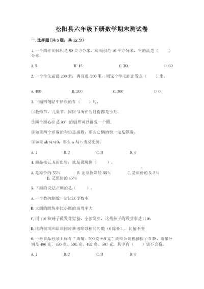 松阳县六年级下册数学期末测试卷word.docx