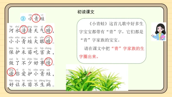 识字3 小青蛙（课件）
