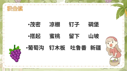 部编版语文二年级上册第十一课《葡萄沟》课件