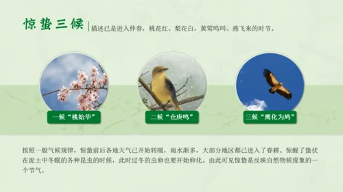 惊蛰淡绿色二十四节气实践教学课件通用PPT模板