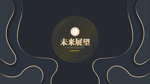 黑金等高线高端年终汇报通用PPT模板