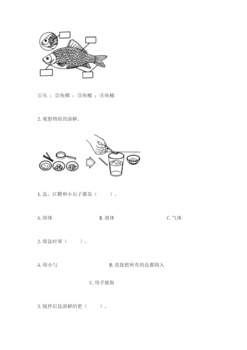 教科版一年级下册科学期末测试卷含答案【夺分金卷】.docx