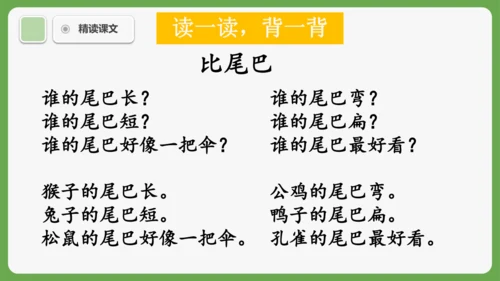 8《比尾巴》课件