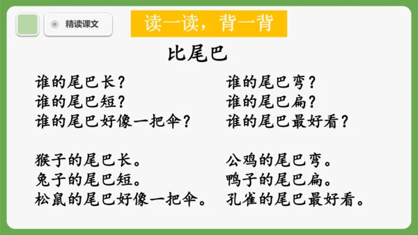 8《比尾巴》课件