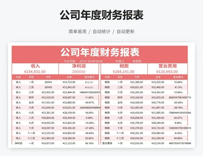 公司年度财务报表