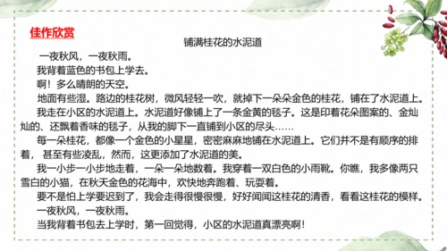5 《铺满巴掌的水泥道》仿写指导课件