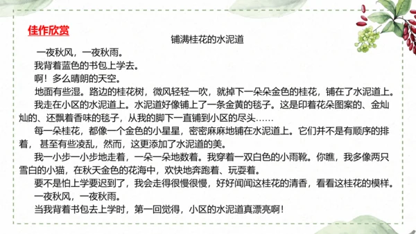 5 《铺满巴掌的水泥道》仿写指导课件