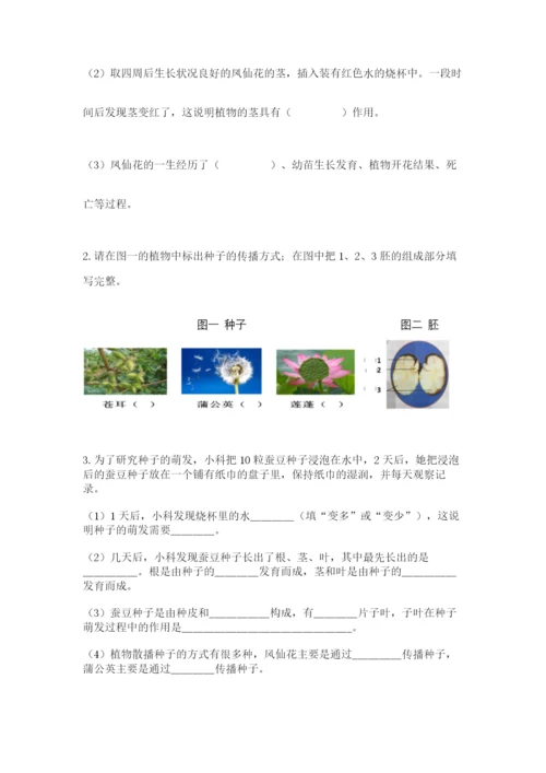 教科版科学四年级下册第一单元《植物的生长变化》测试卷精品【必刷】.docx