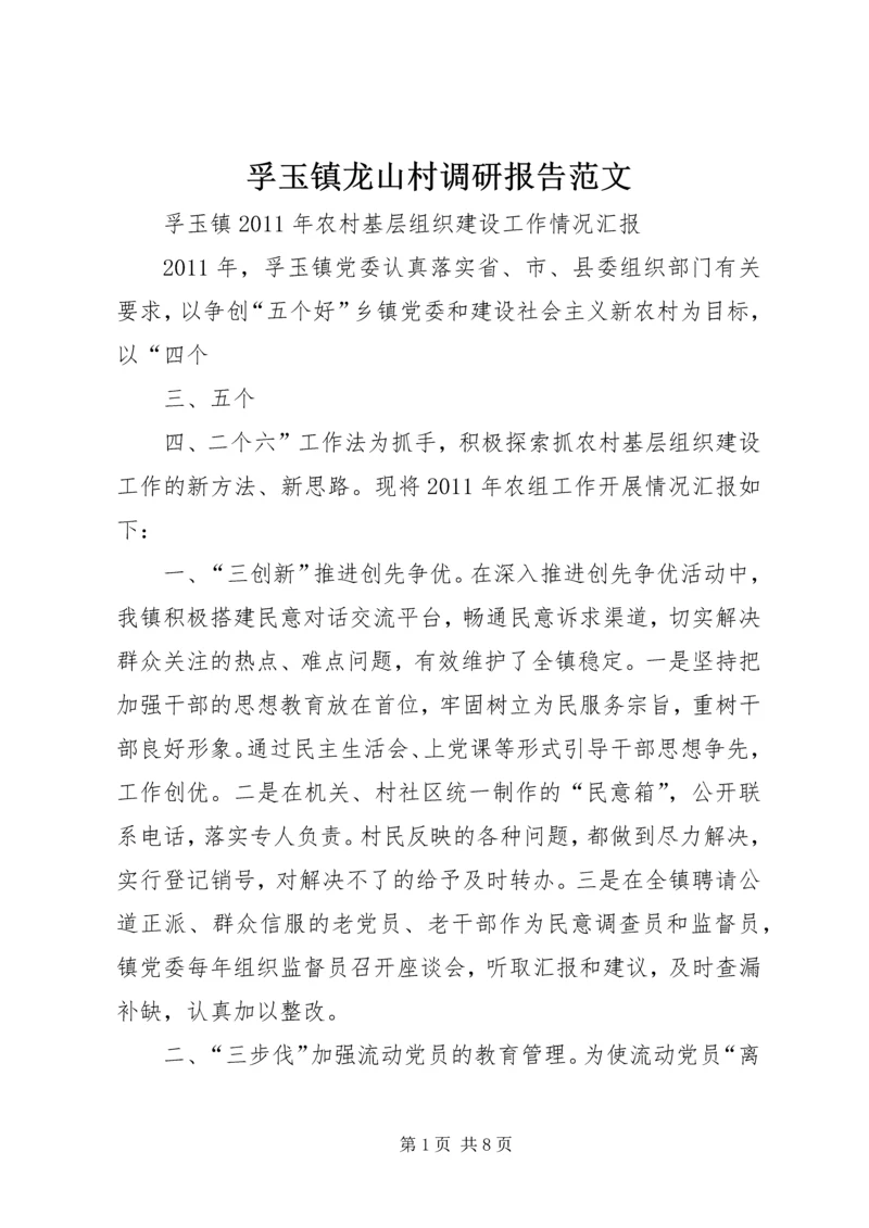 孚玉镇龙山村调研报告范文 (3).docx