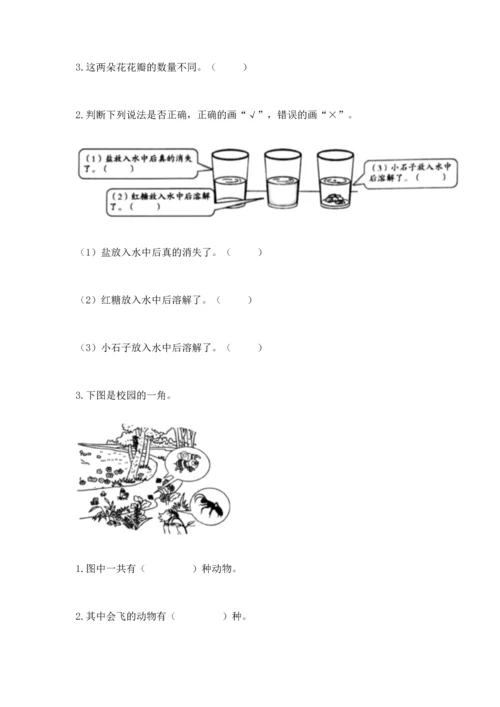 教科版一年级下册科学期末测试卷必考题.docx