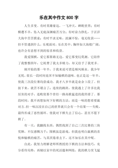 乐在其中作文800字-1.docx