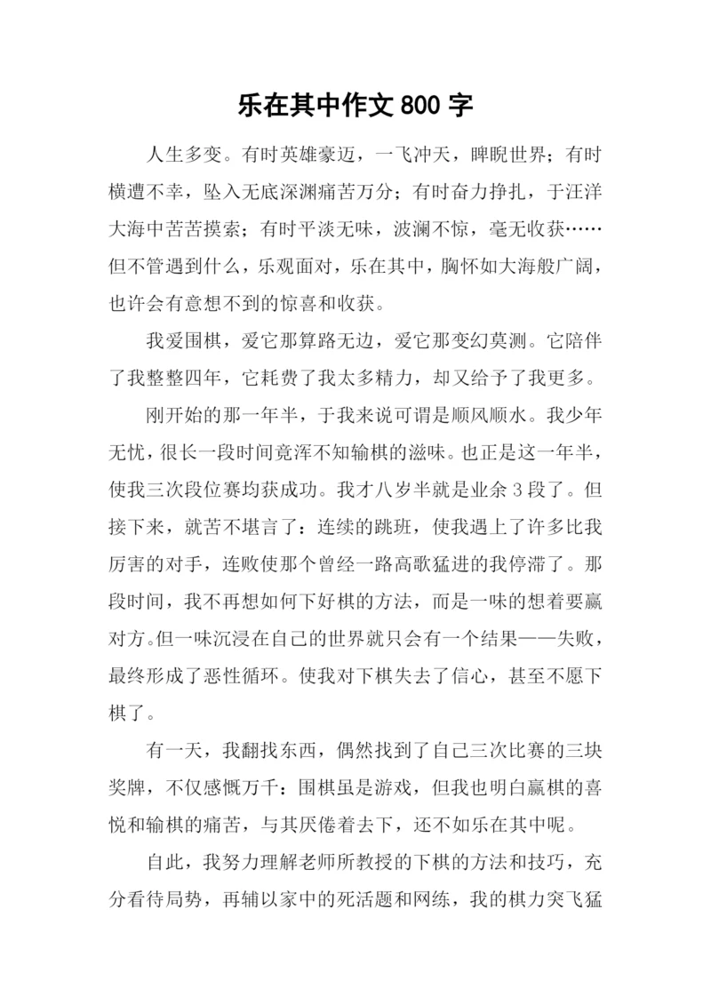 乐在其中作文800字-1.docx