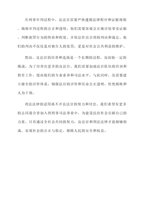 关于刑法法律的感想