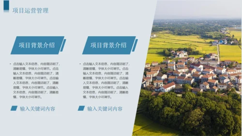 建设美丽乡村乡村振兴项目计划书通用PPT模板