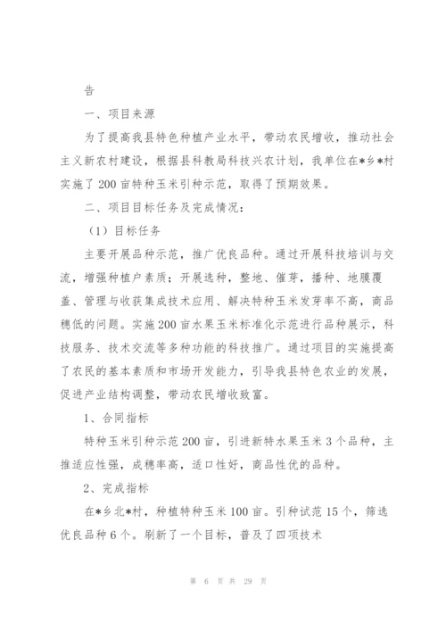 项目技术工作总结(多篇).docx