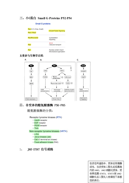 细胞生物学复习资料-General Mechanisms of Signal Transduction II