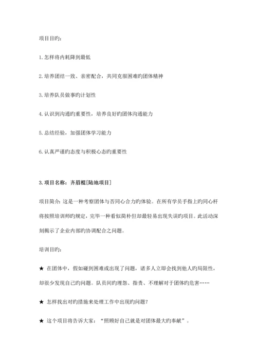 拓展活动项目.docx
