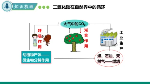 6.2碳的氧化物第一课时 二氧化碳 课件(共35张PPT)---九年级化学人教版（2024）上册