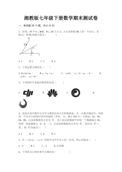 湘教版七年级下册数学期末测试卷.docx