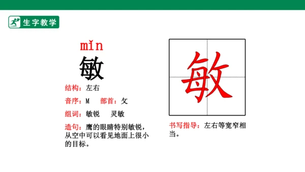 15 白鹅 生字动画课件