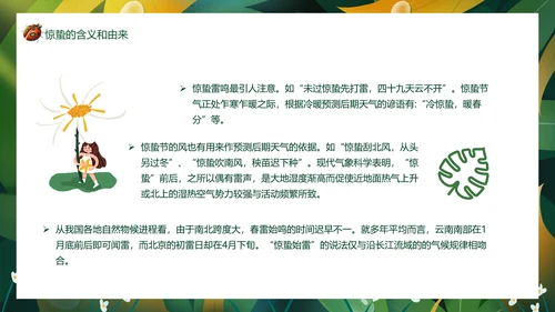 七星瓢虫惊蛰PPT模板