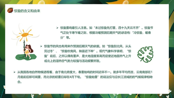 七星瓢虫惊蛰PPT模板