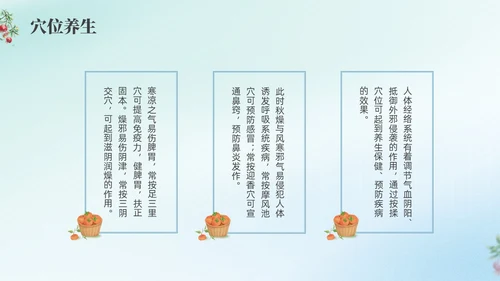 彩色弥撒寒露养生二十四节气PPT课件
