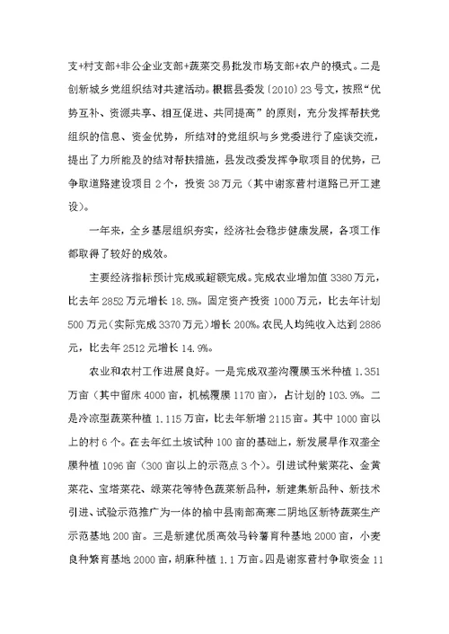 农村基层组织建设专题述职报告
