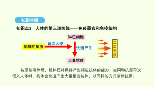 8.1.2.1免疫与计划免疫（第一课时）课件-人教版生物八年级下册(共28张PPT)