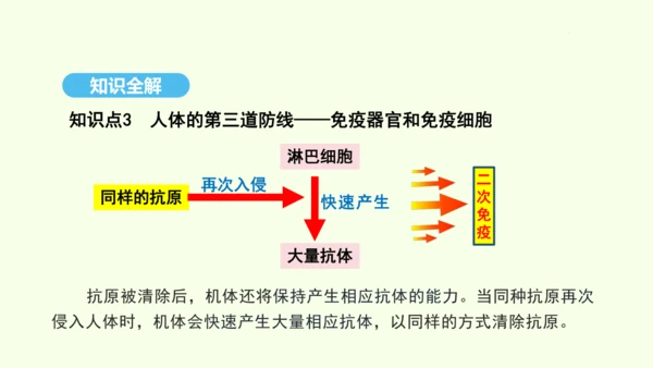 8.1.2.1免疫与计划免疫（第一课时）课件-人教版生物八年级下册(共28张PPT)