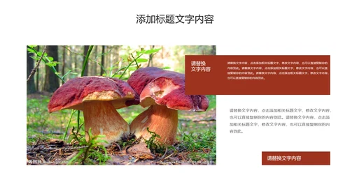 蘑菇菌类养生文化宣传动态PPT模板