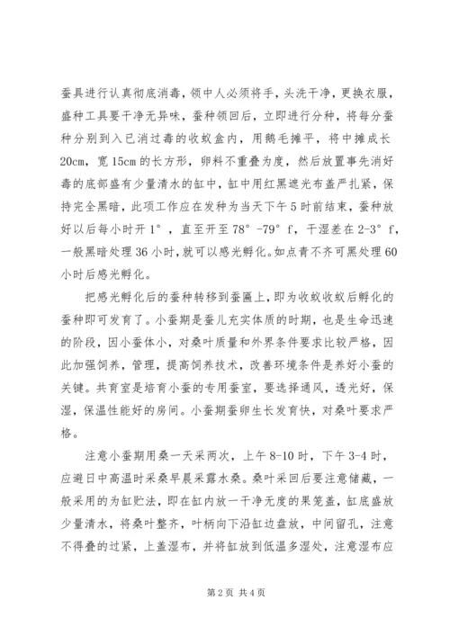 大学生暑期桑蚕区社会实践报告.docx
