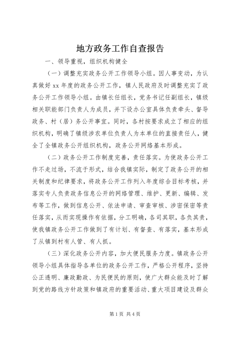 地方政务工作自查报告.docx