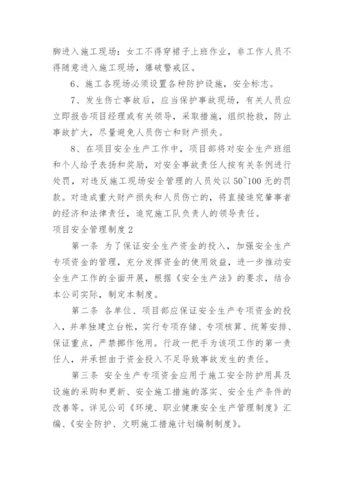 项目安全管理制度.docx