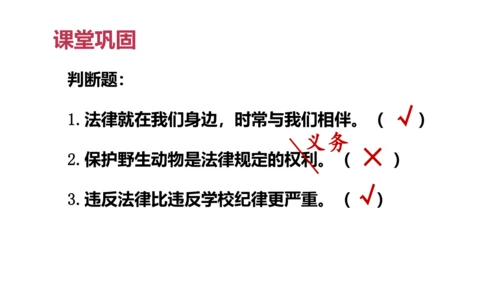 1 感受生活中的法律（第二课时）生活和法律 课件