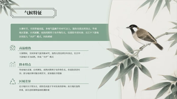 绿色中国风大暑节气介绍通用模板