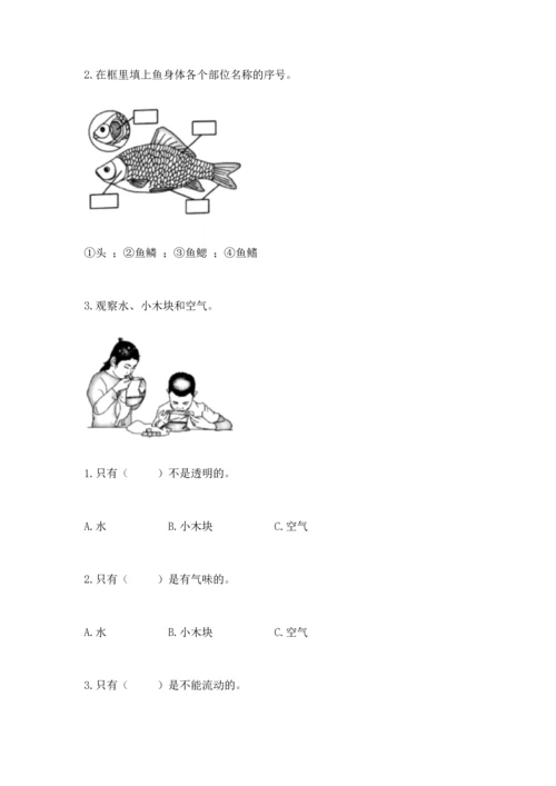 教科版一年级下册科学期末测试卷可打印.docx