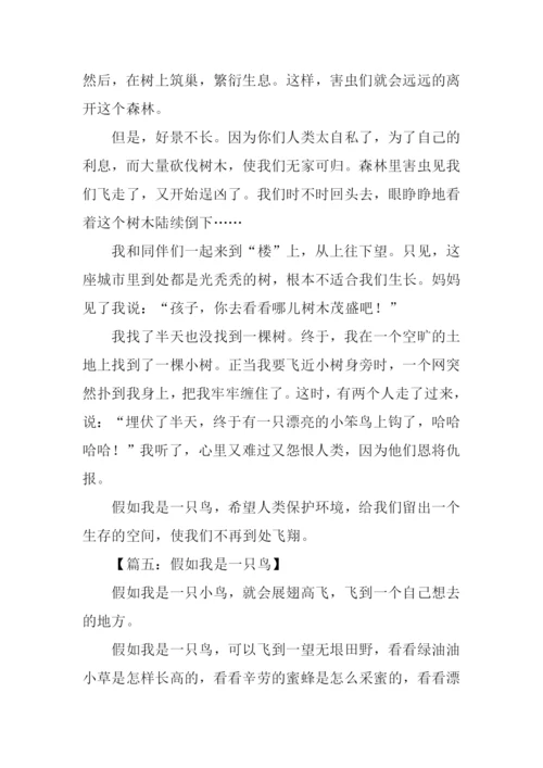 假如我是一只鸟作文400字.docx