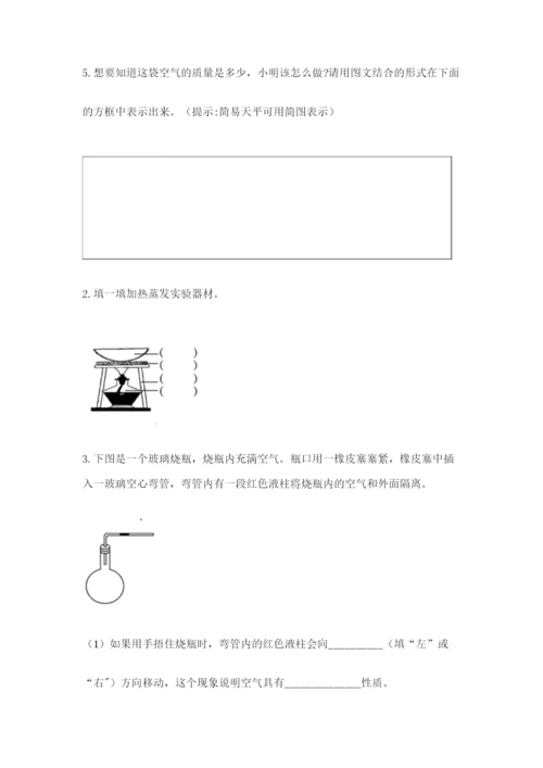 教科版三年级上册科学期末测试卷（考试直接用）.docx