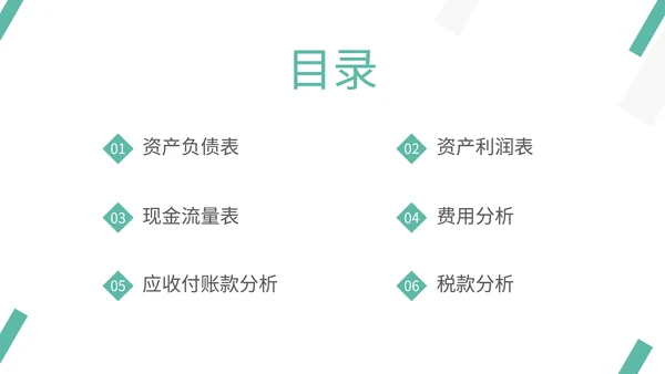 通用财务数据分析模板