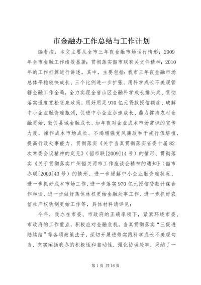 市金融办工作总结与工作计划.docx