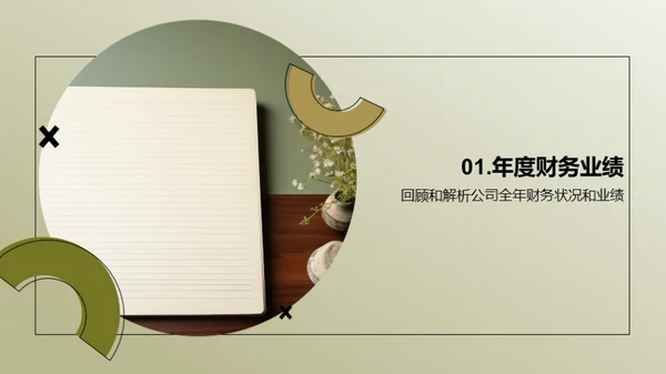 财务解析：20XX年度总结