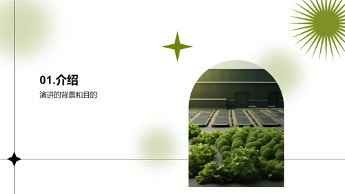 绿色蔬菜：环保加工