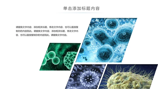 医疗微生物细菌病毒微生物ppt动态模板