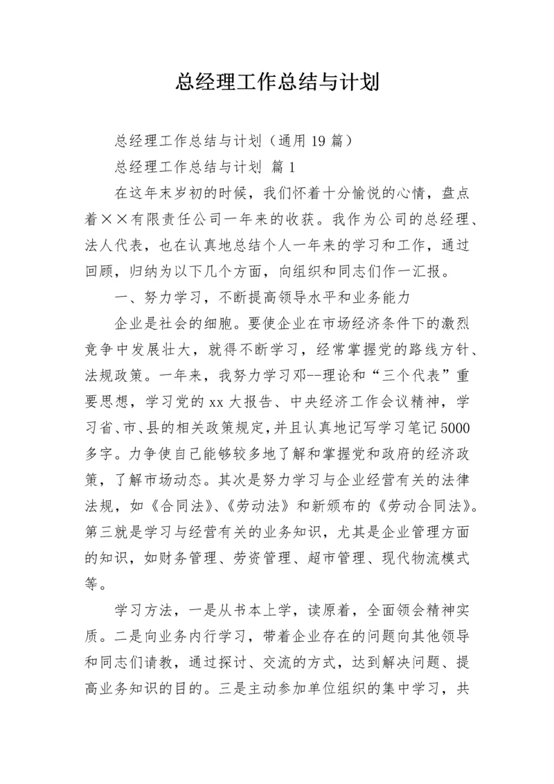 总经理工作总结与计划.docx