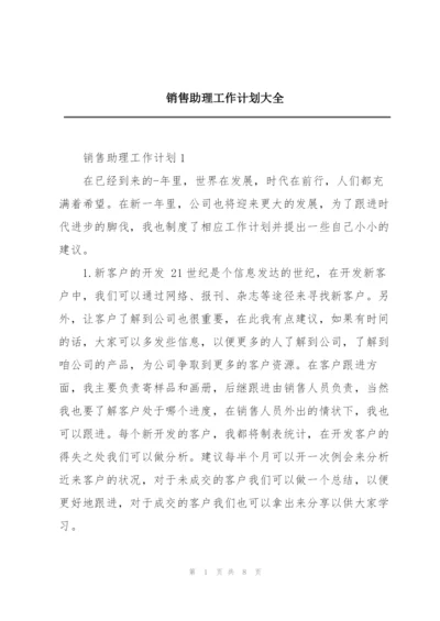 销售助理工作计划大全.docx