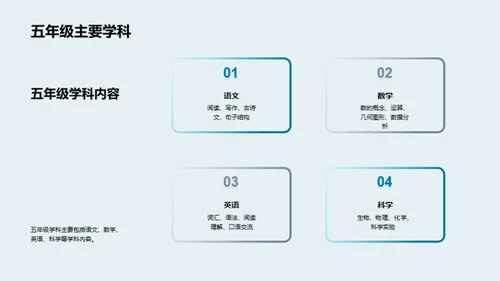 五年级学习深度探索