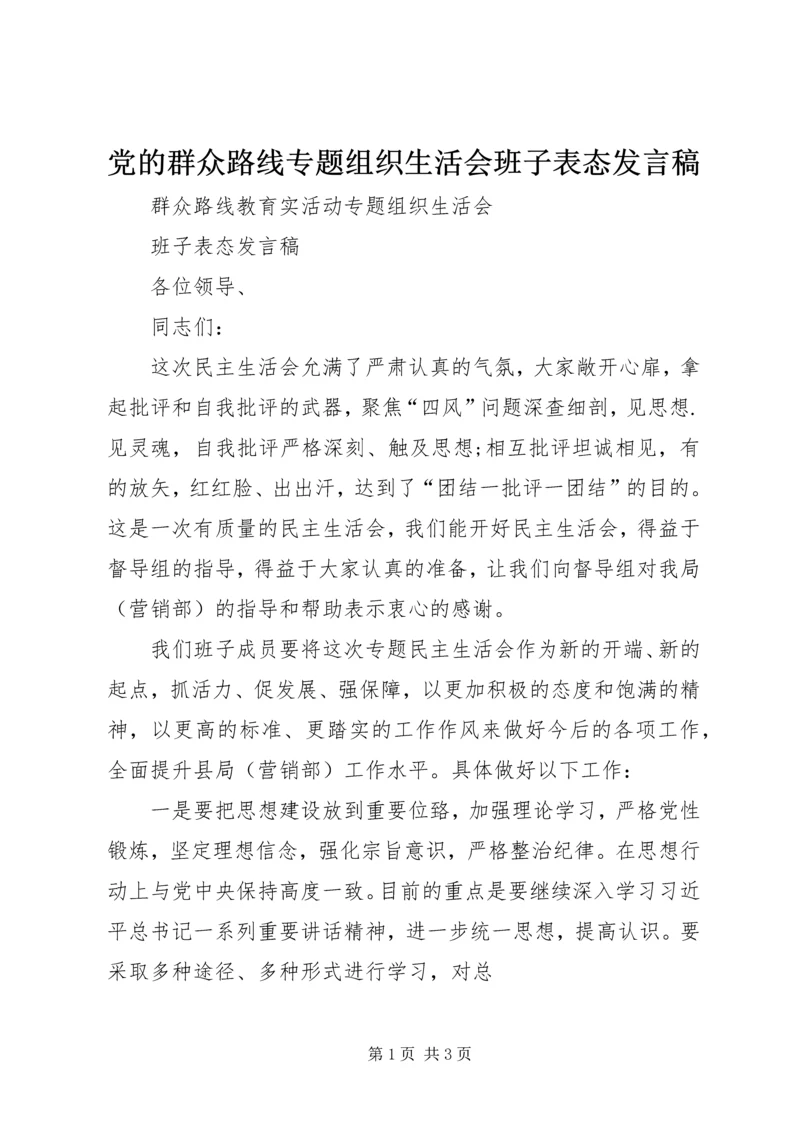 党的群众路线专题组织生活会班子表态讲话稿.docx