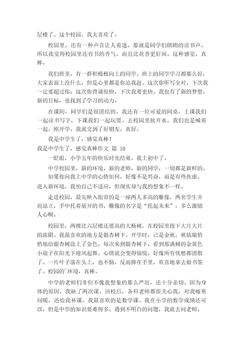 我是中学生了,感觉真棒作文