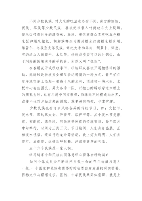 学习铸牢中华民族共同体意识心得体会（24篇）.docx